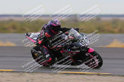 media/Jan-14-2023-SoCal Trackdays (Sat) [[497694156f]]/Turn 11 Inside (950am)/